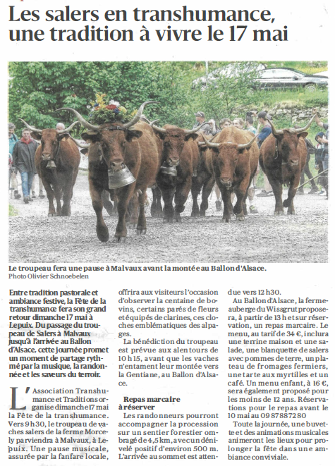 20260505 transhumance